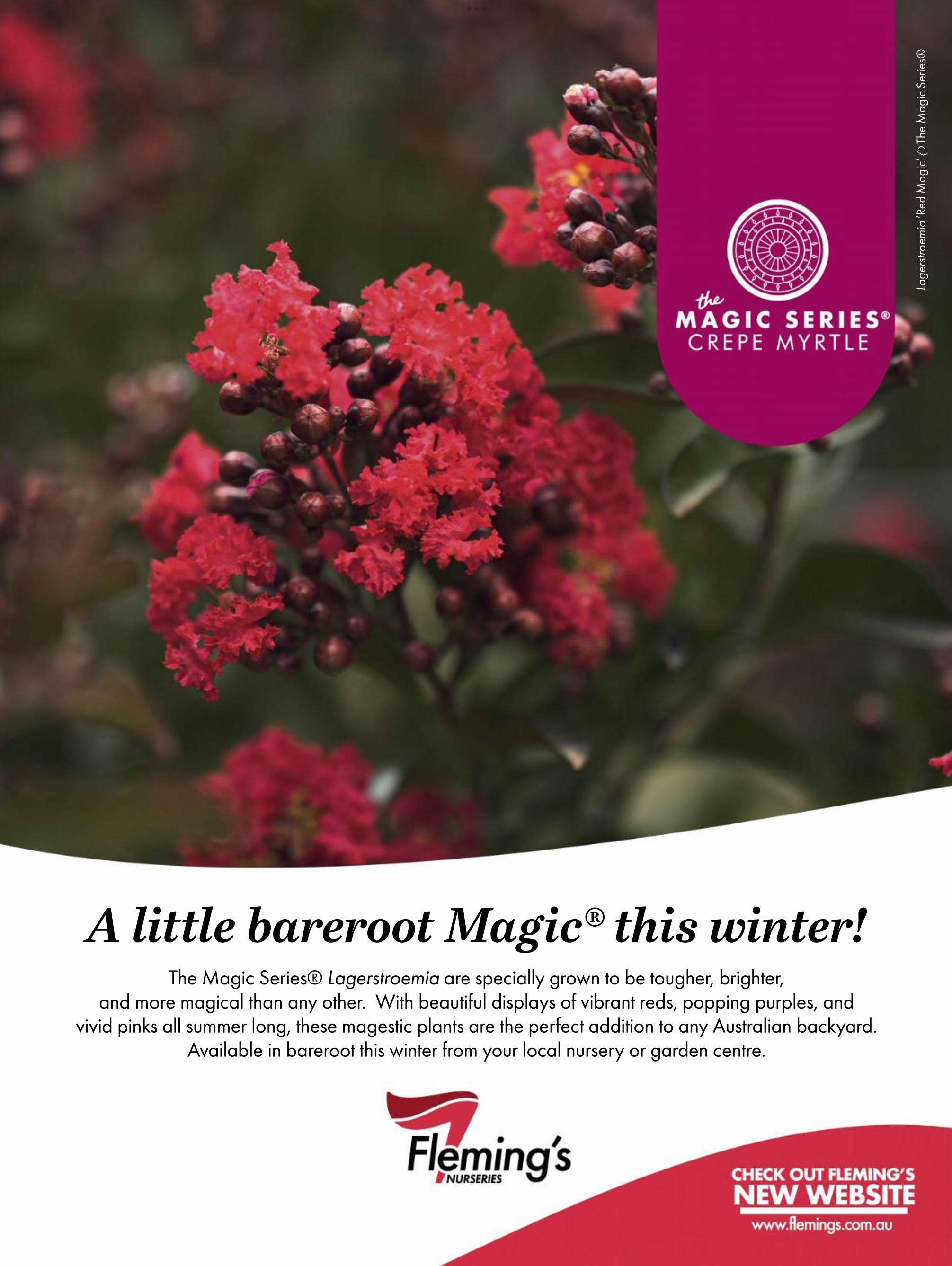 ABC Organic Gardener Magazine  2022 Early Winter  (May) magazine collectible - Main Image 2