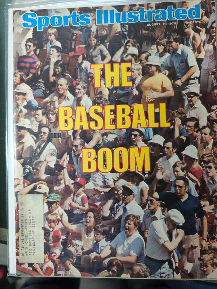 Moduler Plattformanhänger