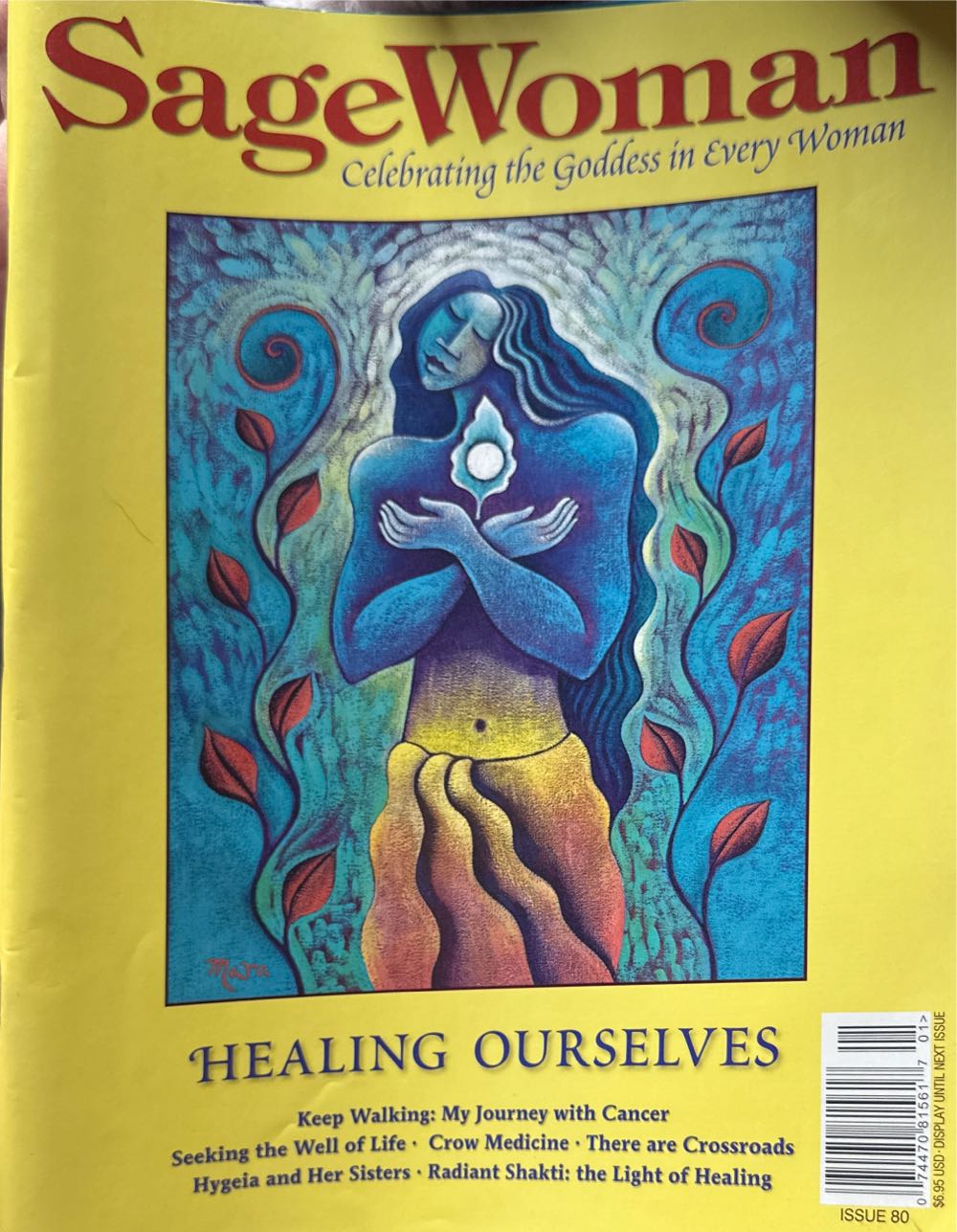 Illustrerad Vetenskap