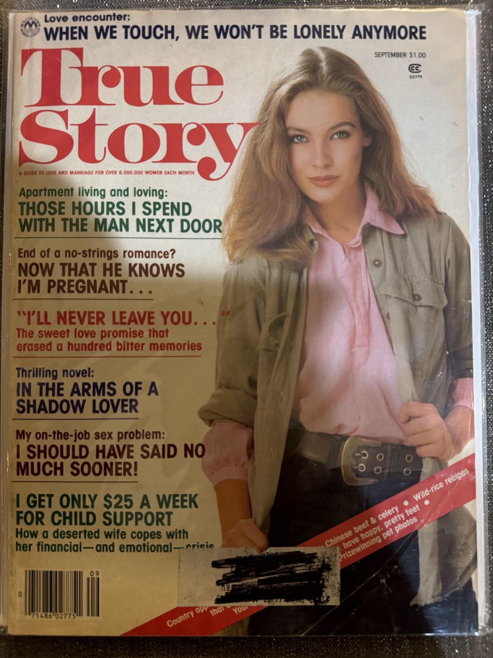 Leisure Arts The Magazine