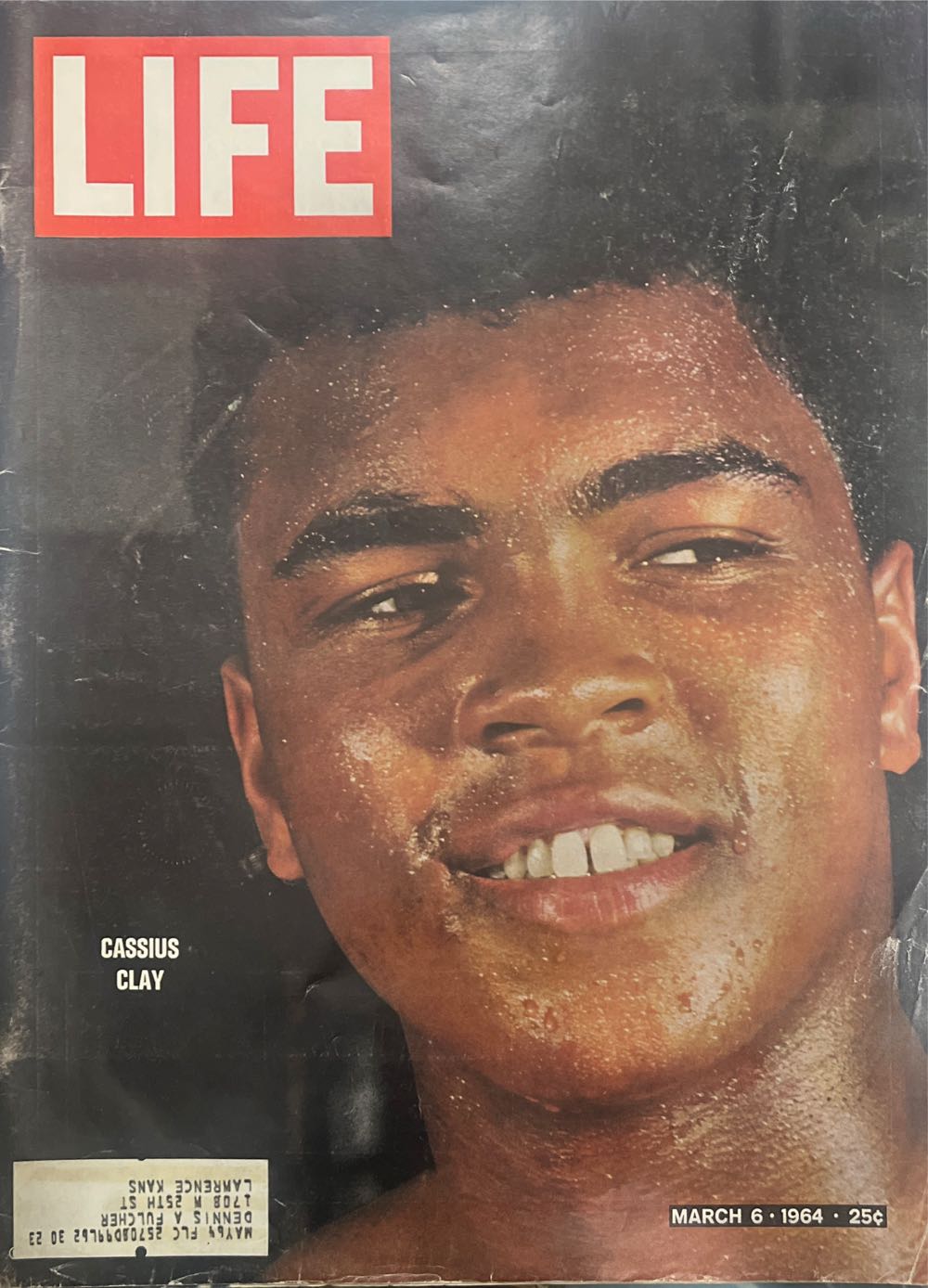 Voluptuous Volume 31 No. 3