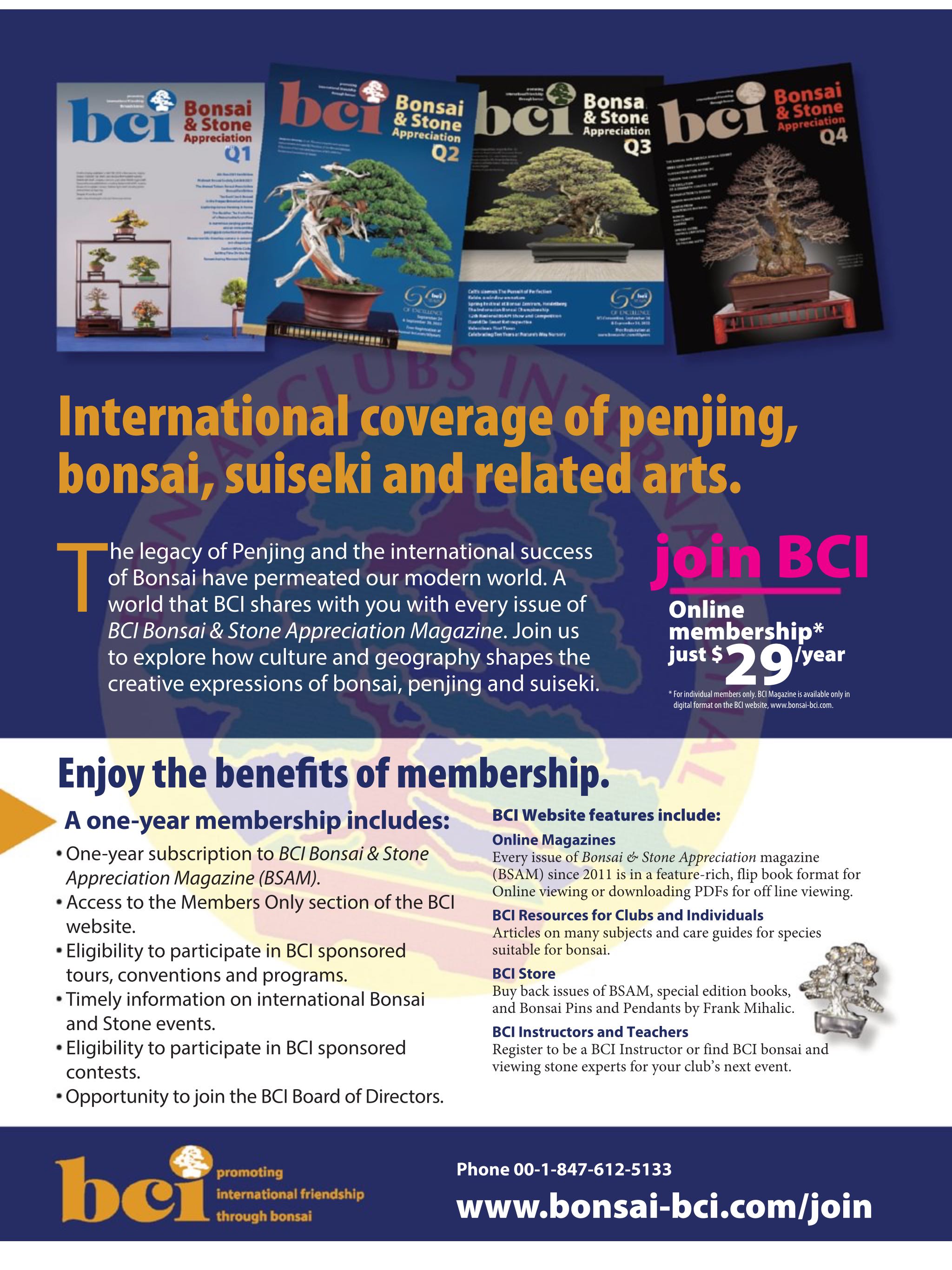 BCI Bonsai & Stone Appreciation Magazine  2024 November V63 #4 Q4  (November) magazine collectible - Main Image 2