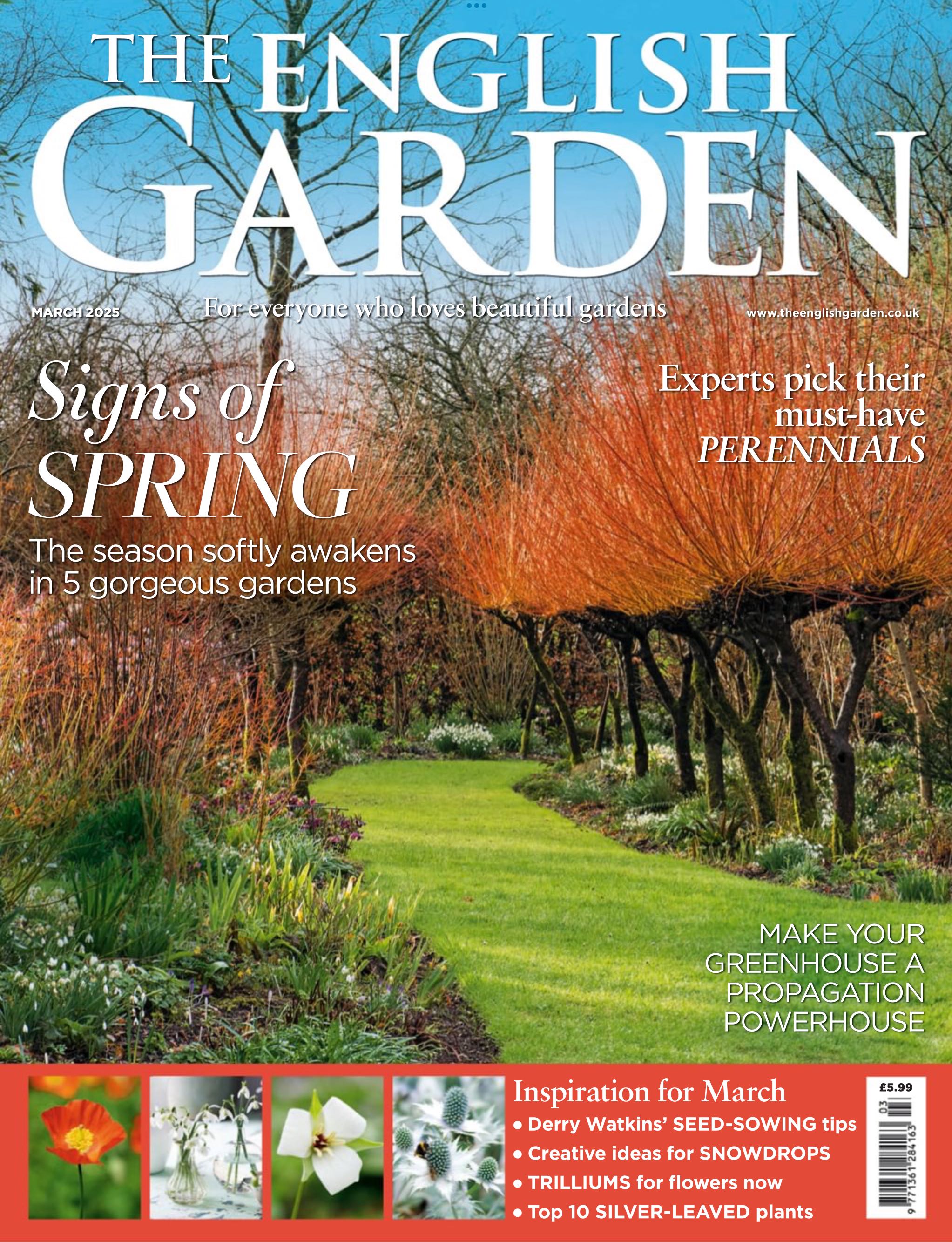 2011 BECKETT BASKETBALL 