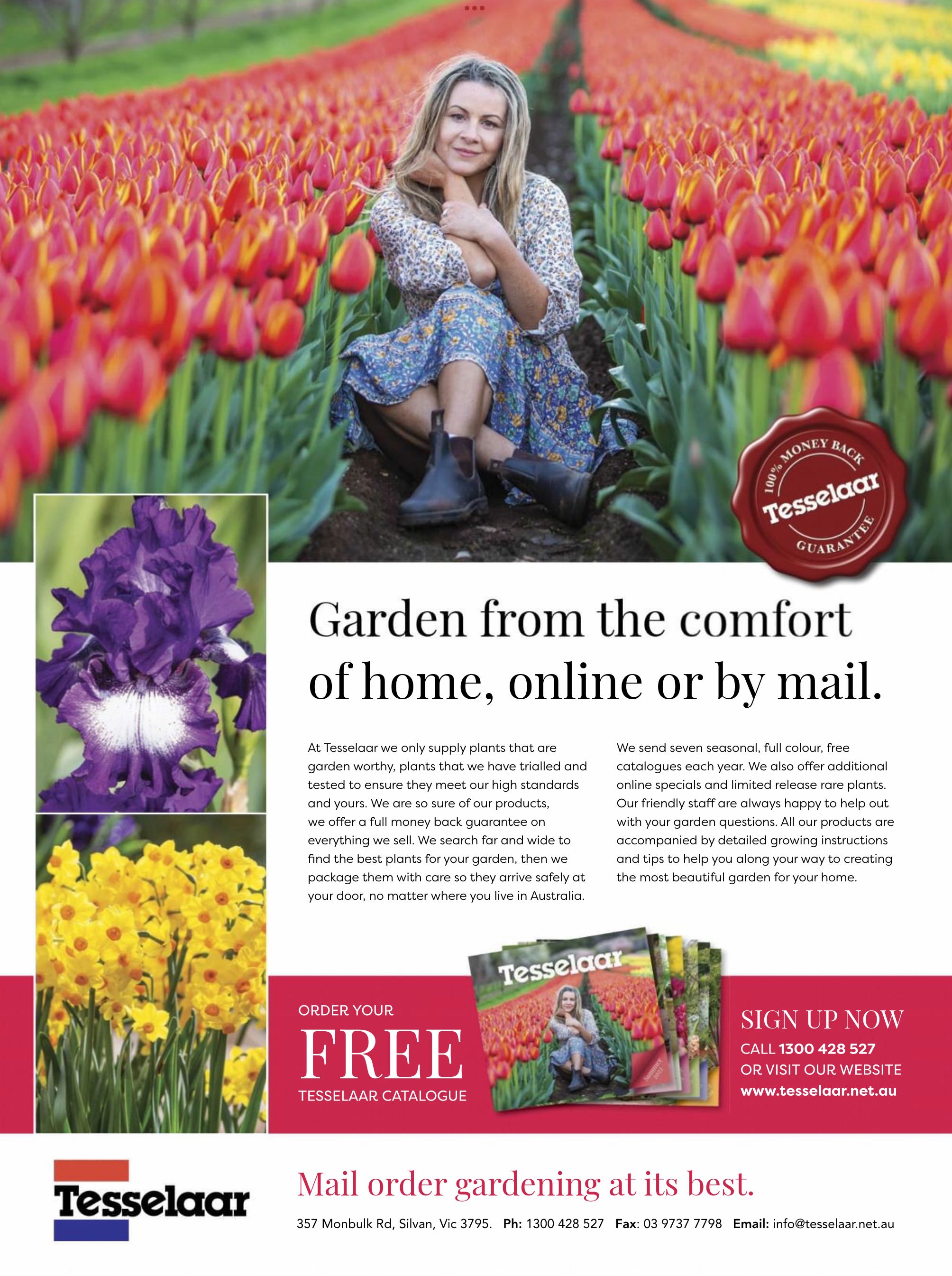 ABC Organic Gardener Magazine  2022 Autumn  magazine collectible - Main Image 2