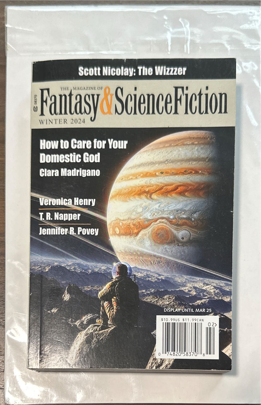 The English Garden  2025 March