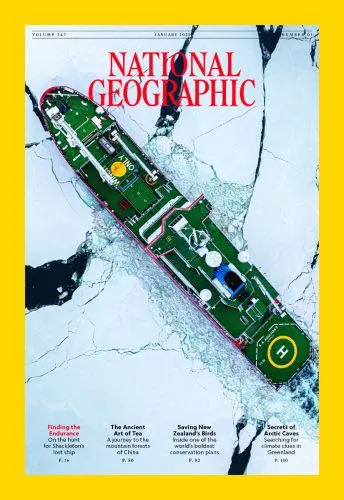 Daytona Pit Stops Magazine