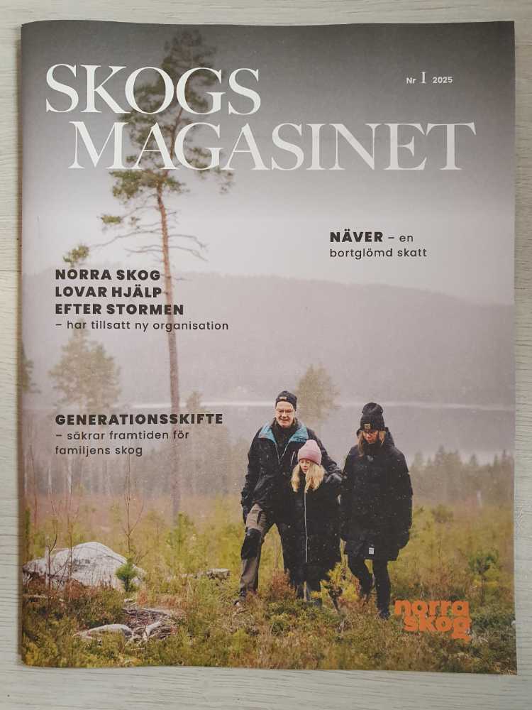 Butterick B6784zz Misses Dress L-xl-xxl