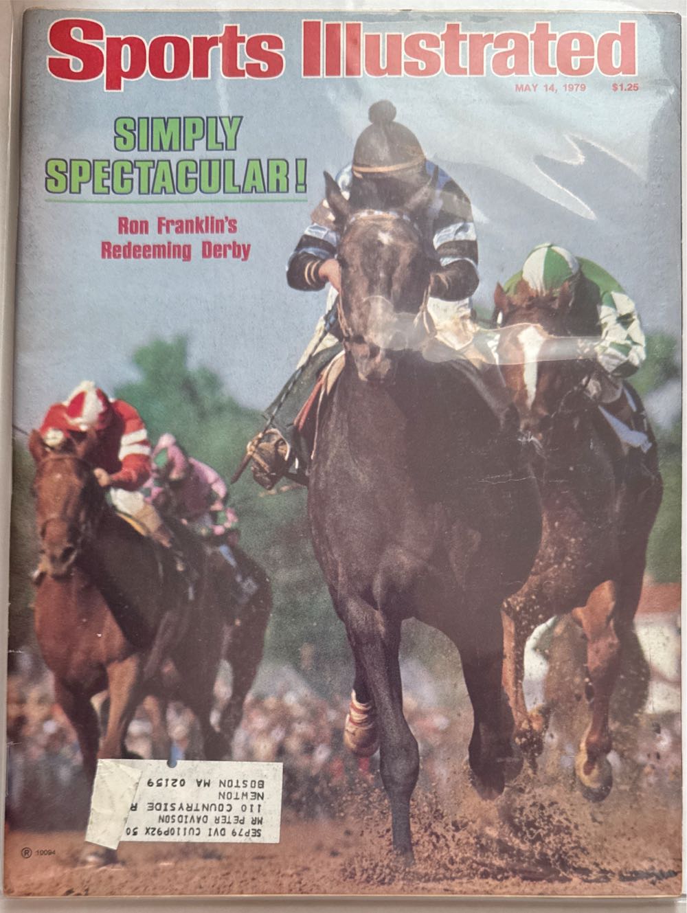 Luigi’s Mansion Official Perfect Guide