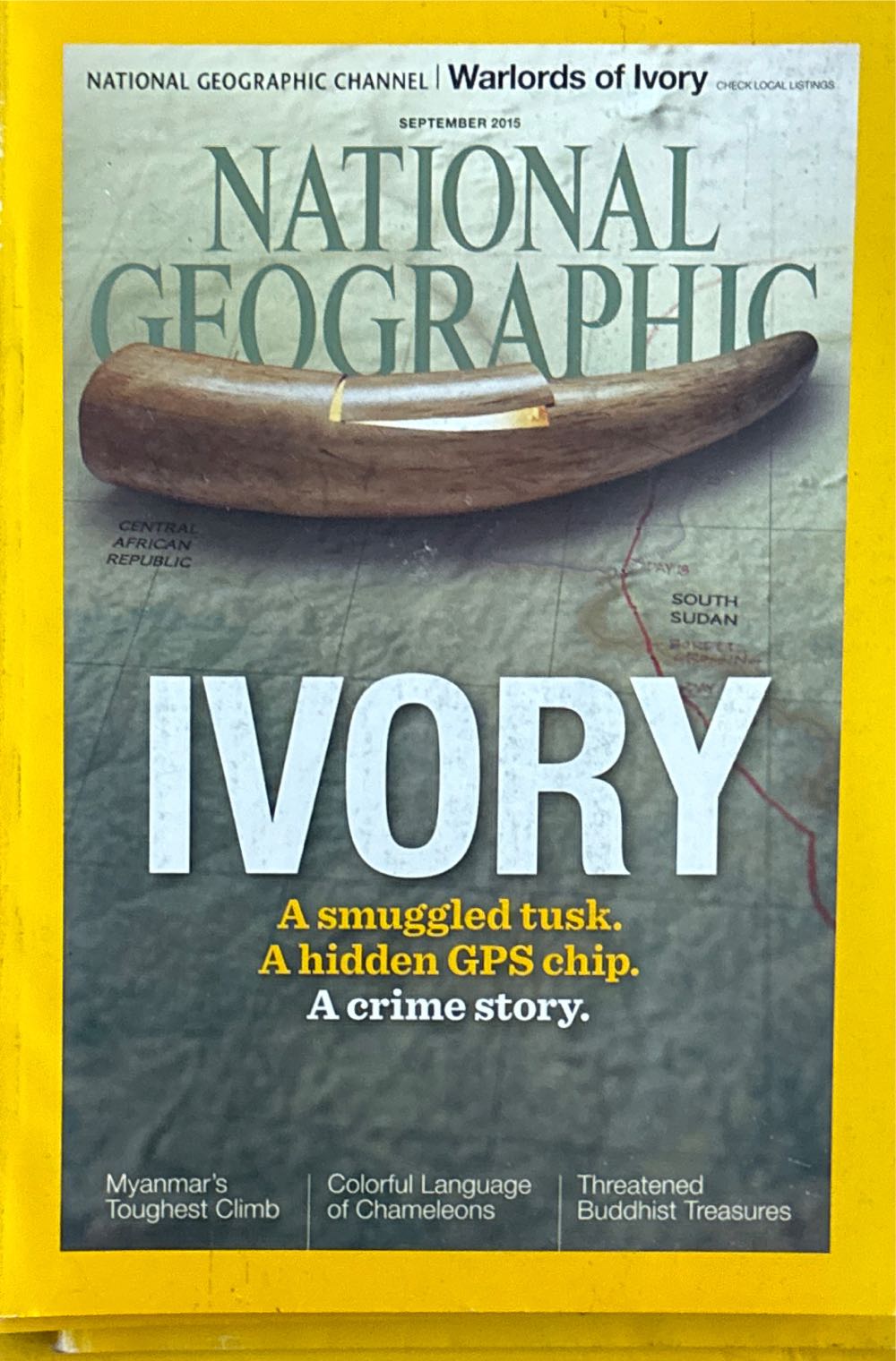 Best of Baseball Football Hobby Card Report