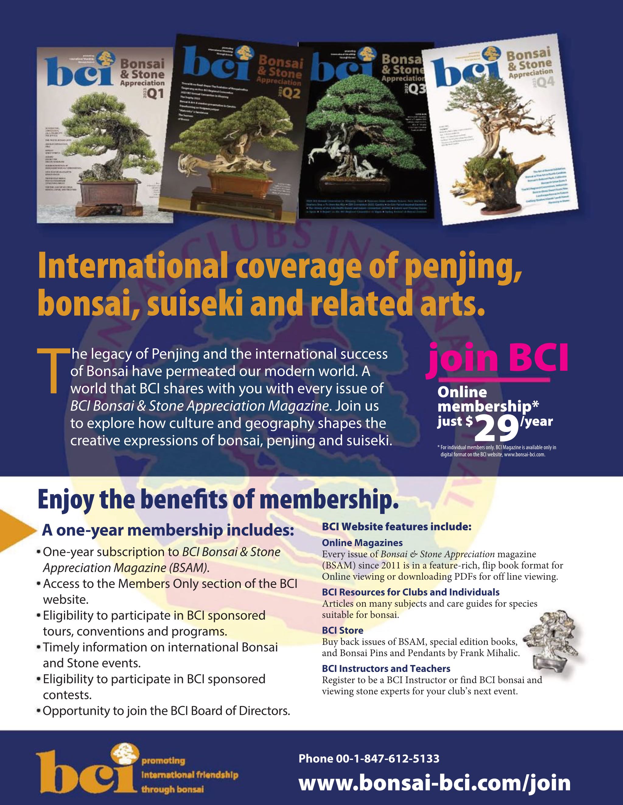 BCI Bonsai & Stone Appreciation Magazine  2025 February  (February) magazine collectible - Main Image 2