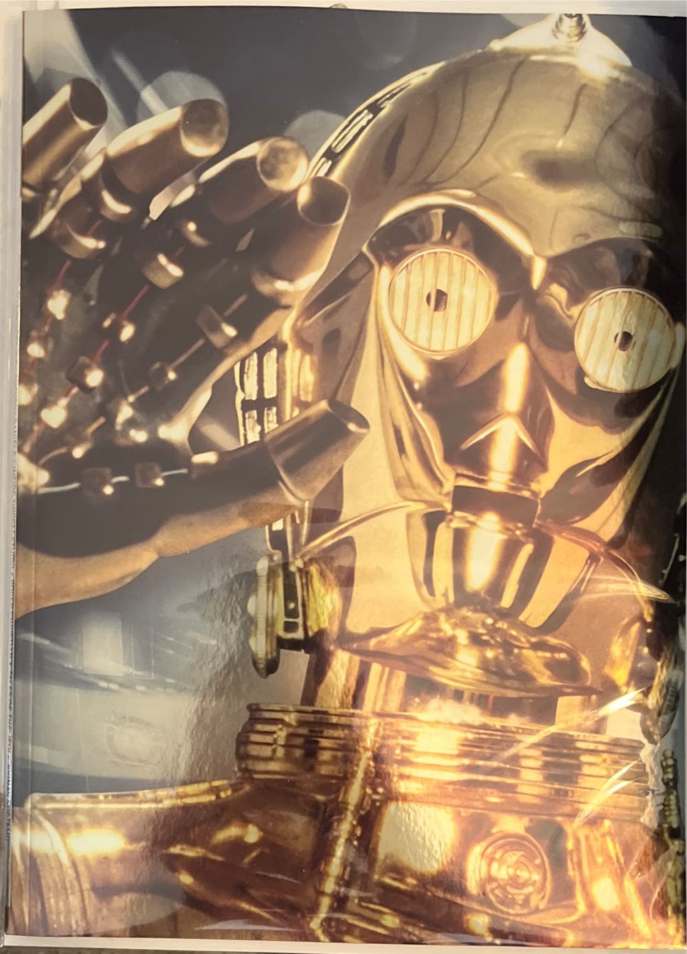 Chicago Bulls Official 1991/1992 Yearbook and Championship Album