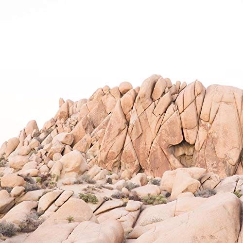 Scootering International