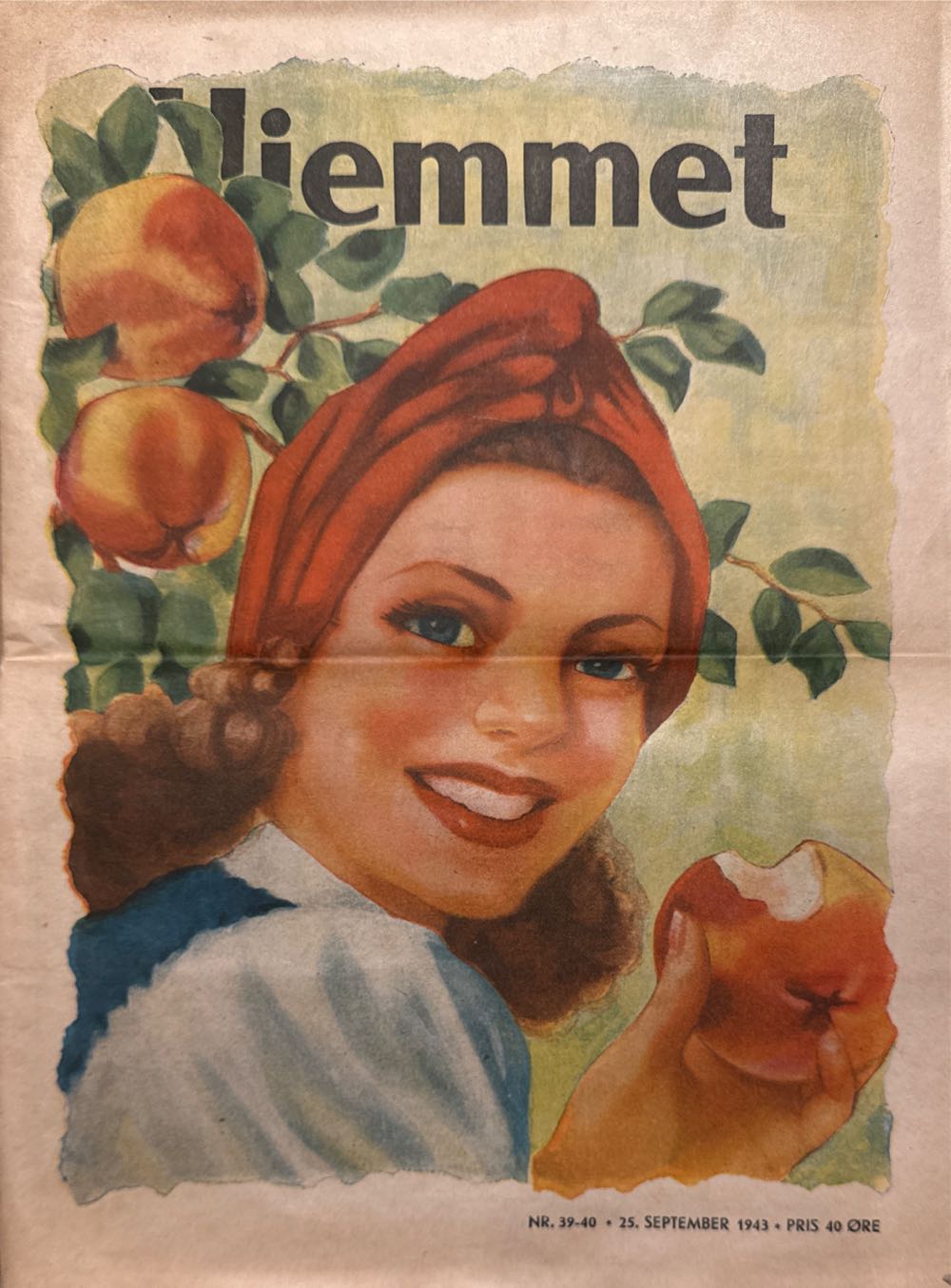 Making Magazine No. 5 Color