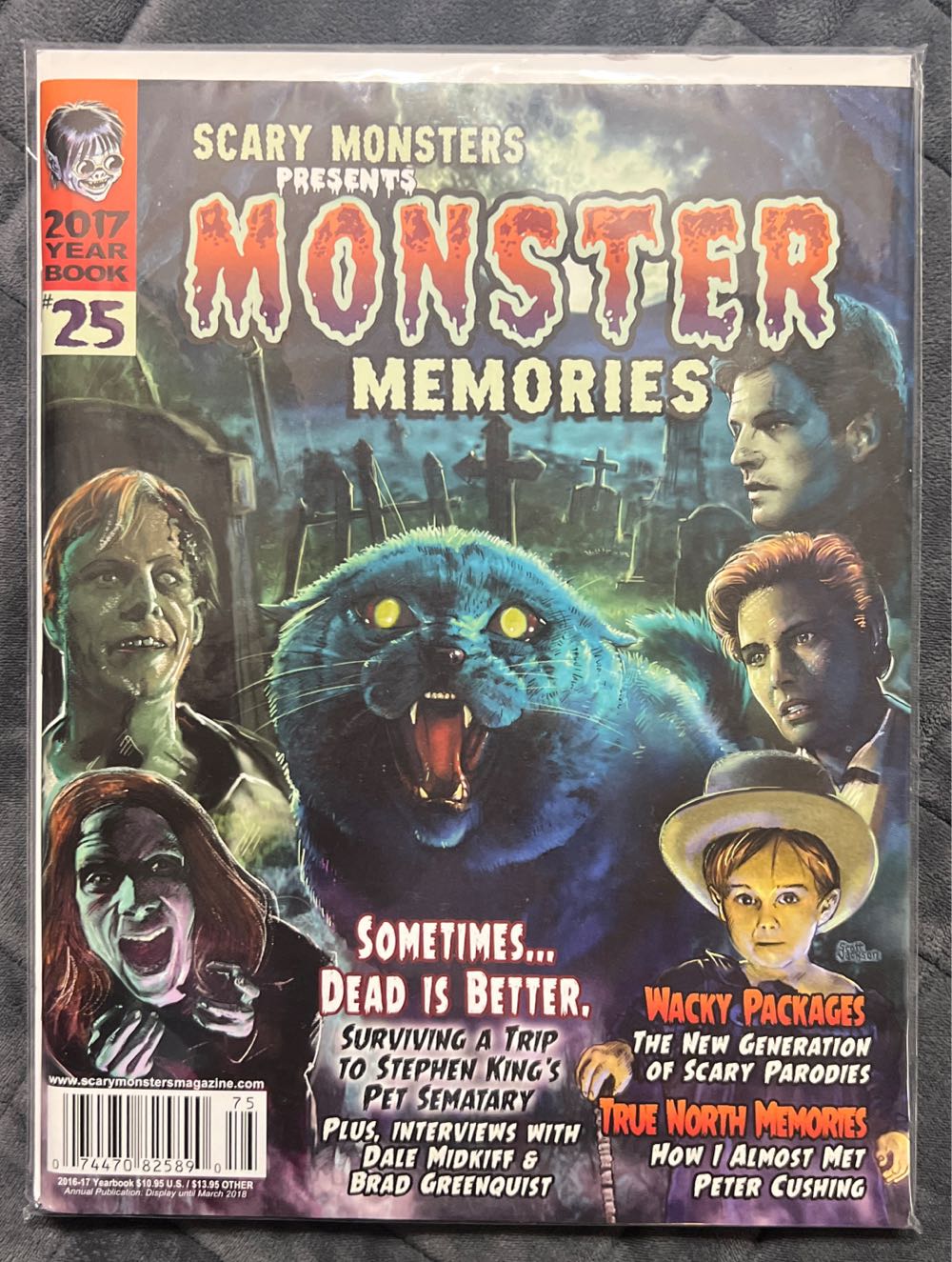 100+1 Foreign Interest