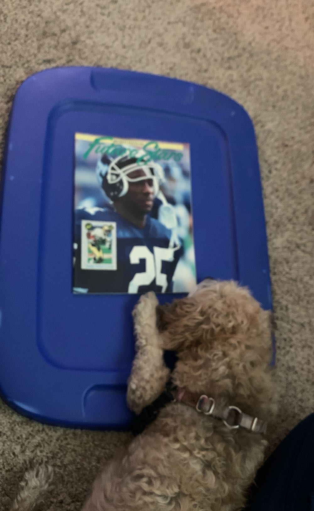 Beckett Future Stars  (October) magazine collectible - Main Image 2