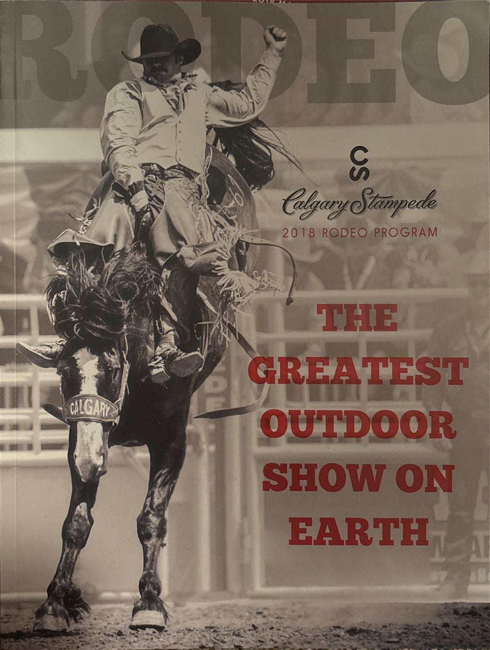 Disneyland Paris Tribune 31