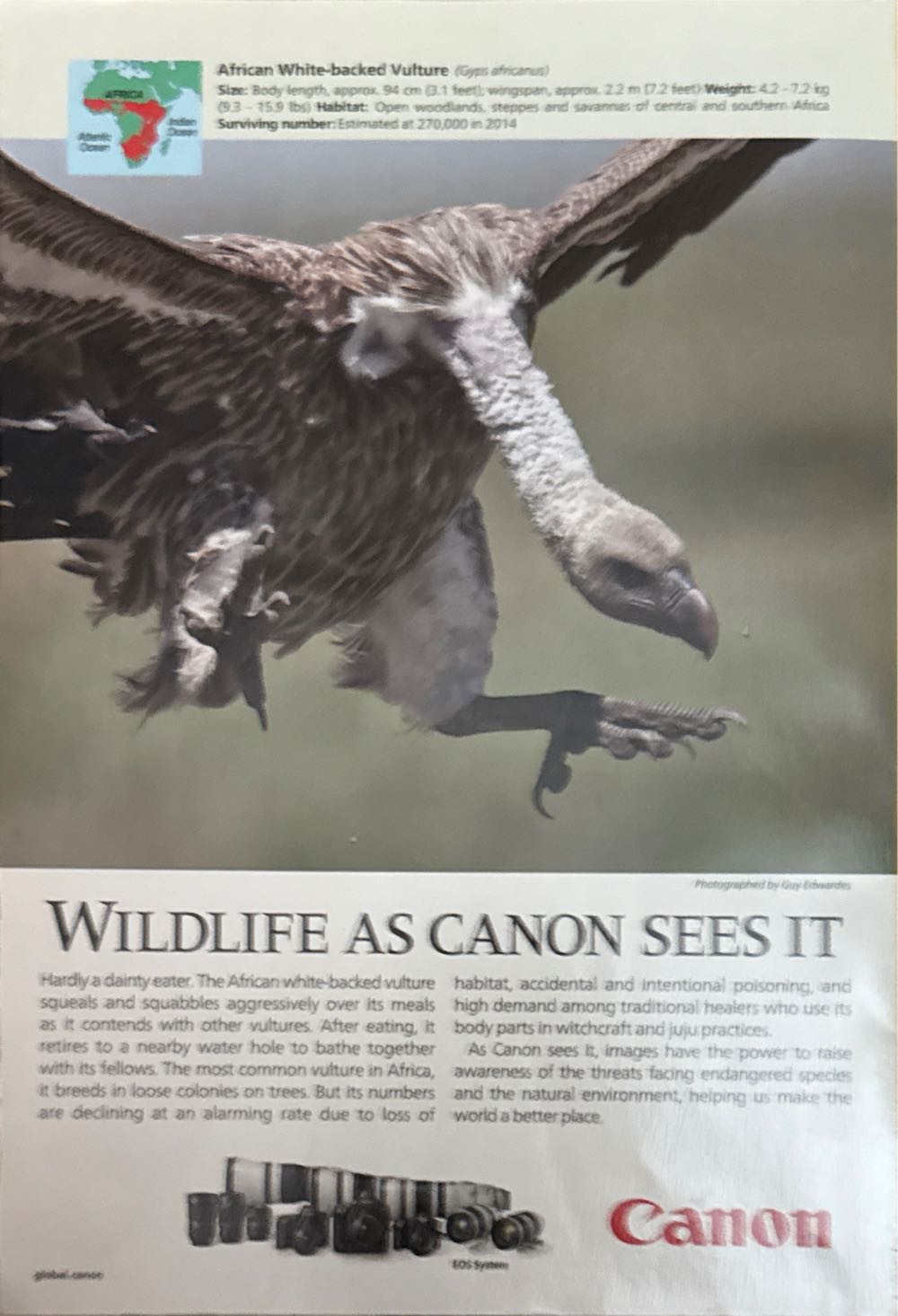 The Moon And Beyond  (July) magazine collectible - Main Image 2