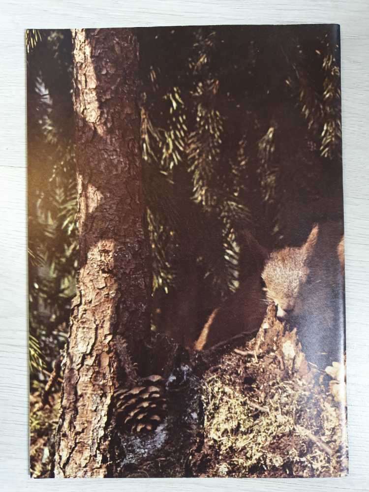 Norrskog  magazine collectible - Main Image 2