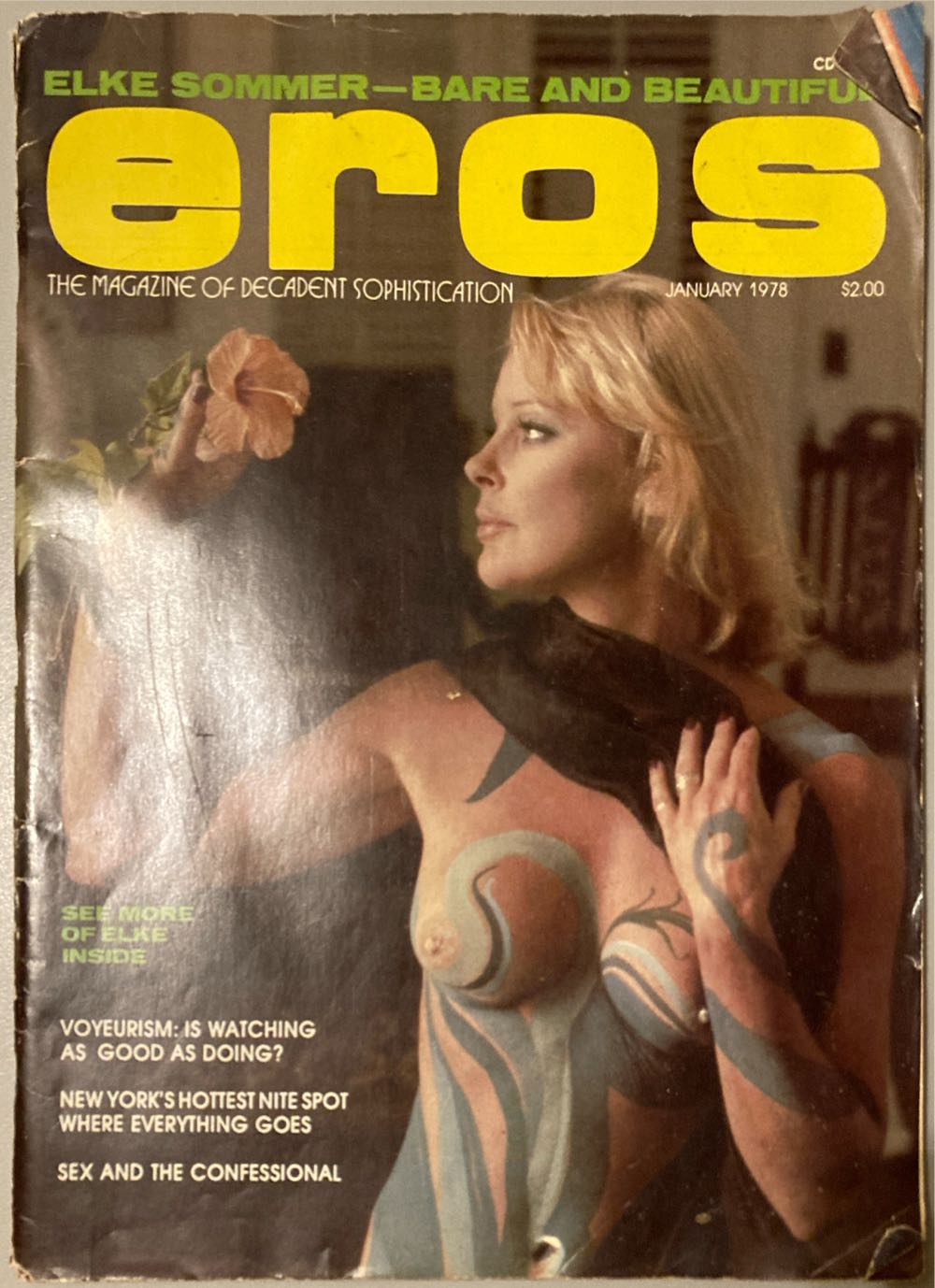 Simplicity Denim Yoked Skirt