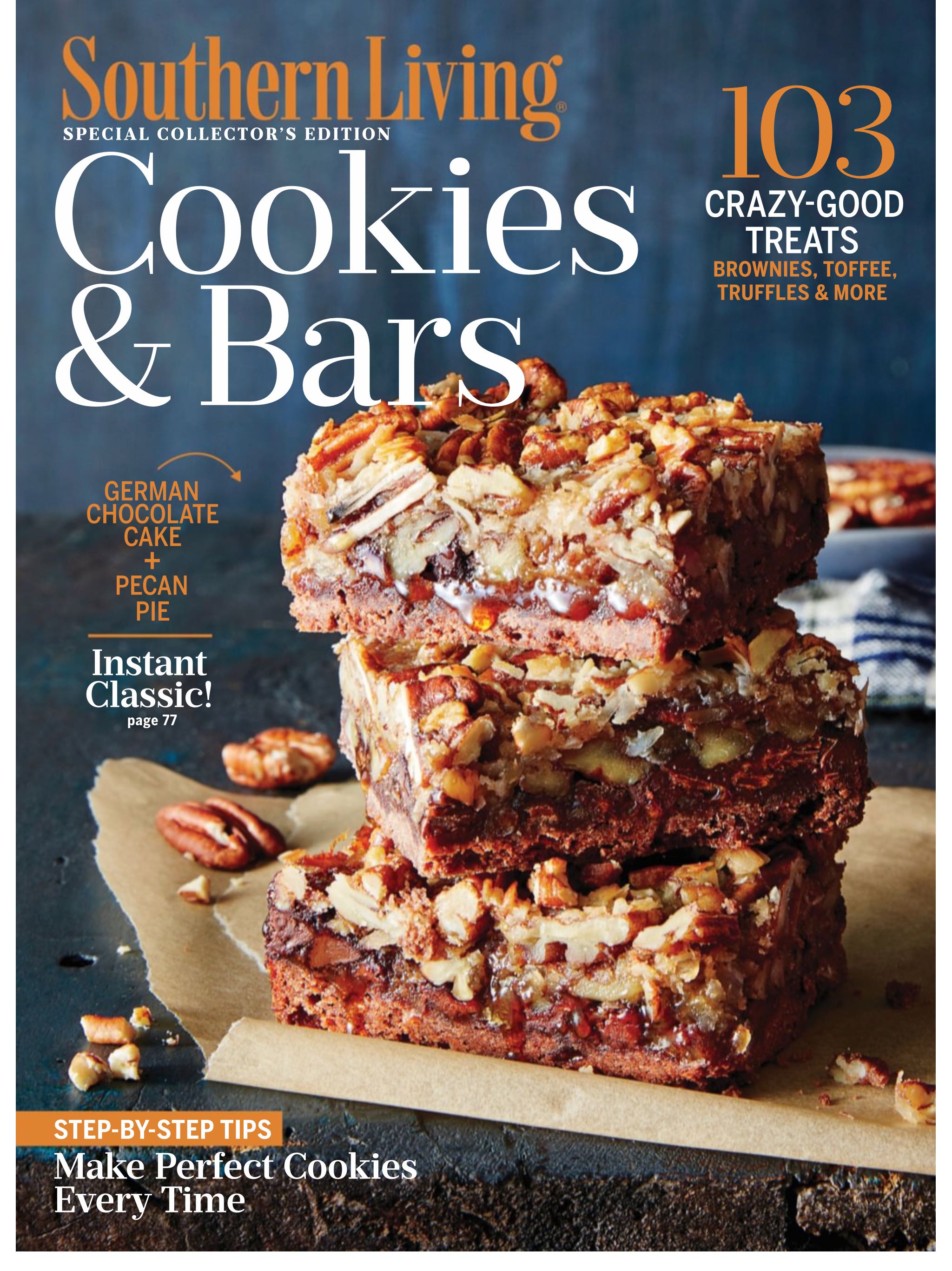 Disneyland Paris Tribune 30