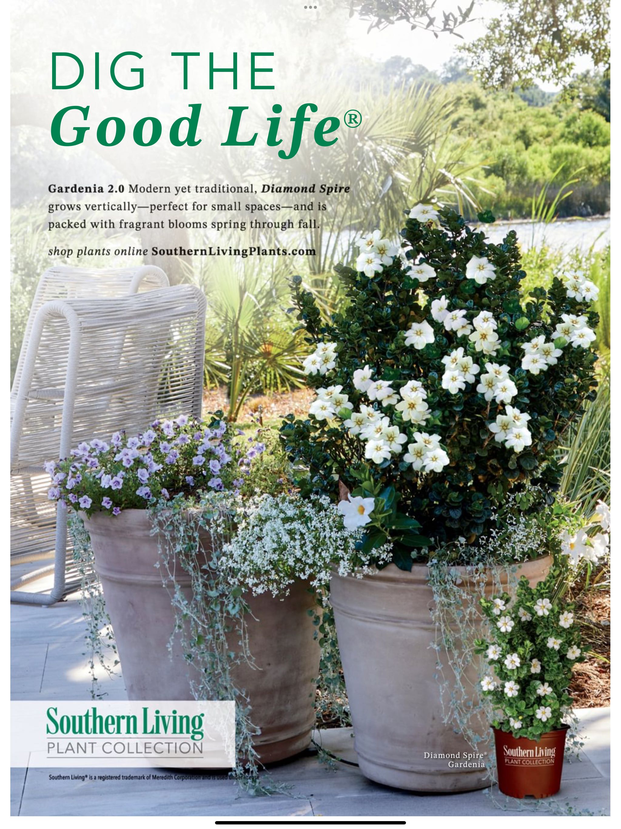Southern Living Porches & Gardens  2025 March  (March) magazine collectible - Main Image 2