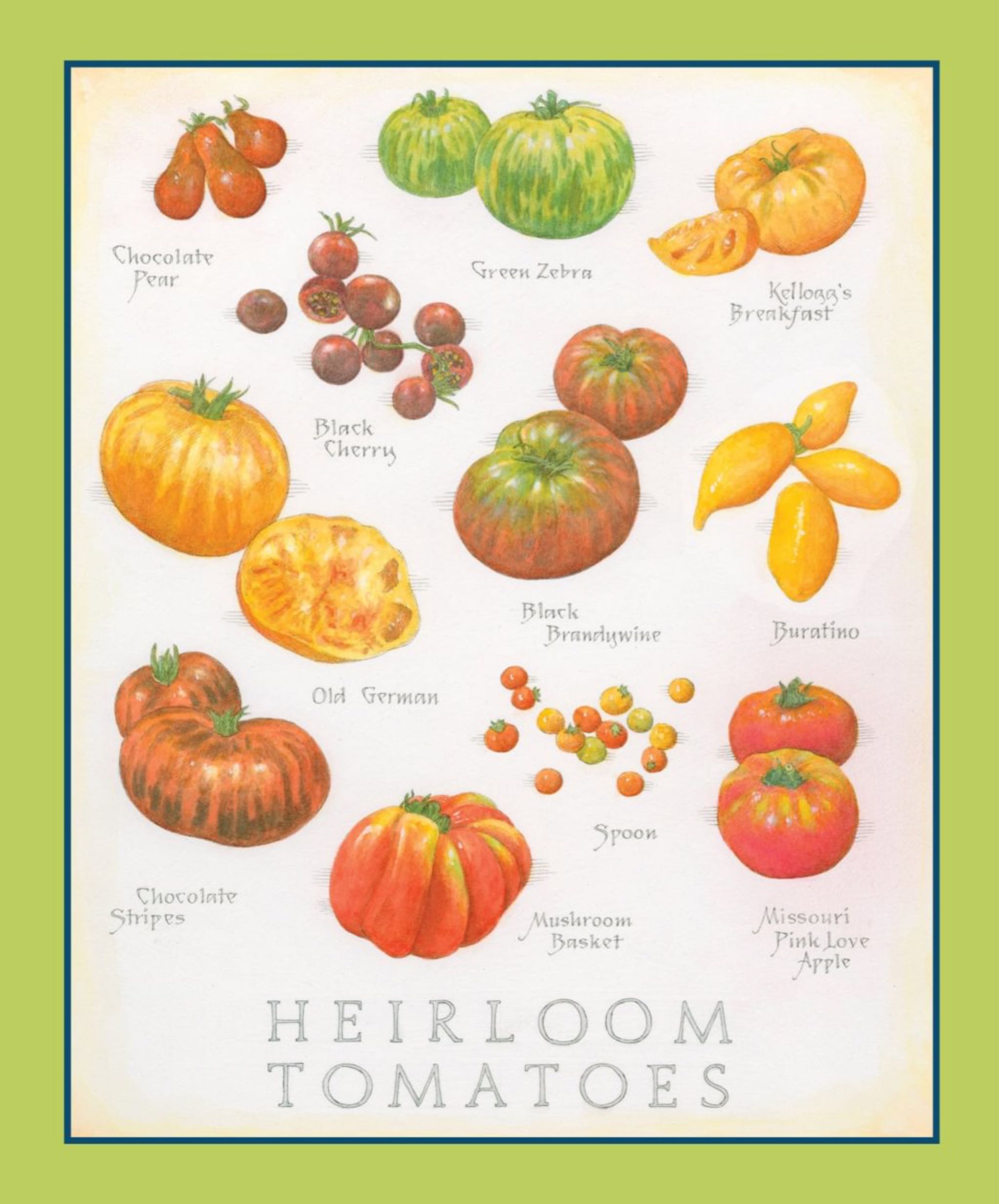 Cook’s Illustrated  2025 July-August  (June) magazine collectible - Main Image 2