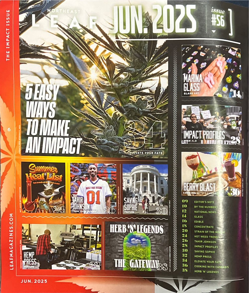 The Impact Issue  (June) magazine collectible - Main Image 2