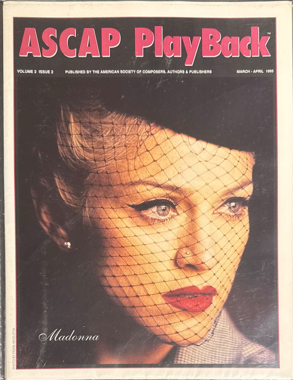 The professional photographer