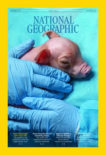 Bizarre Magazine: Cover Girl Dita Von Teese February 2003