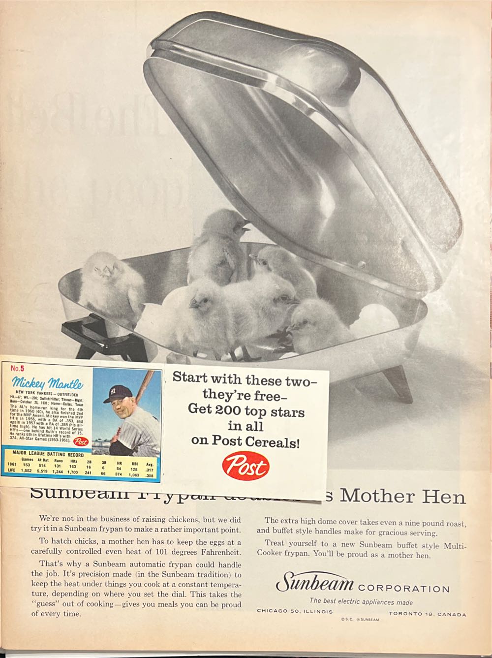 Life Magazine   (April) magazine collectible - Main Image 2