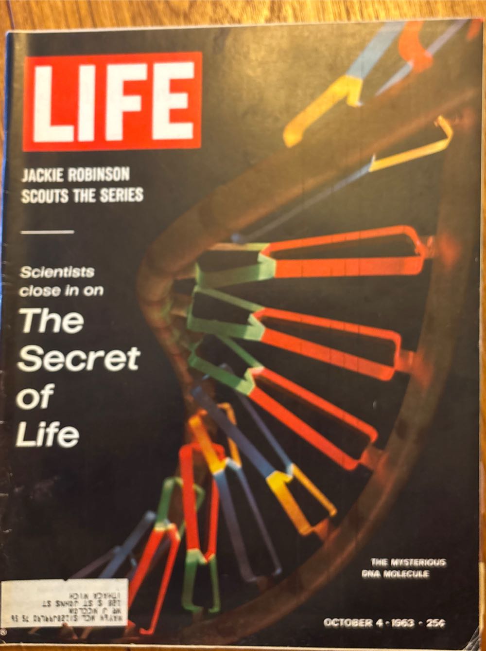 MLVC The Madonna Fanzine