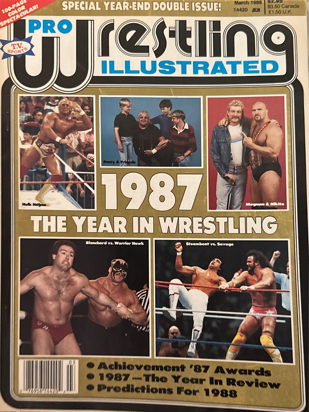 Female Force Madonna Comic