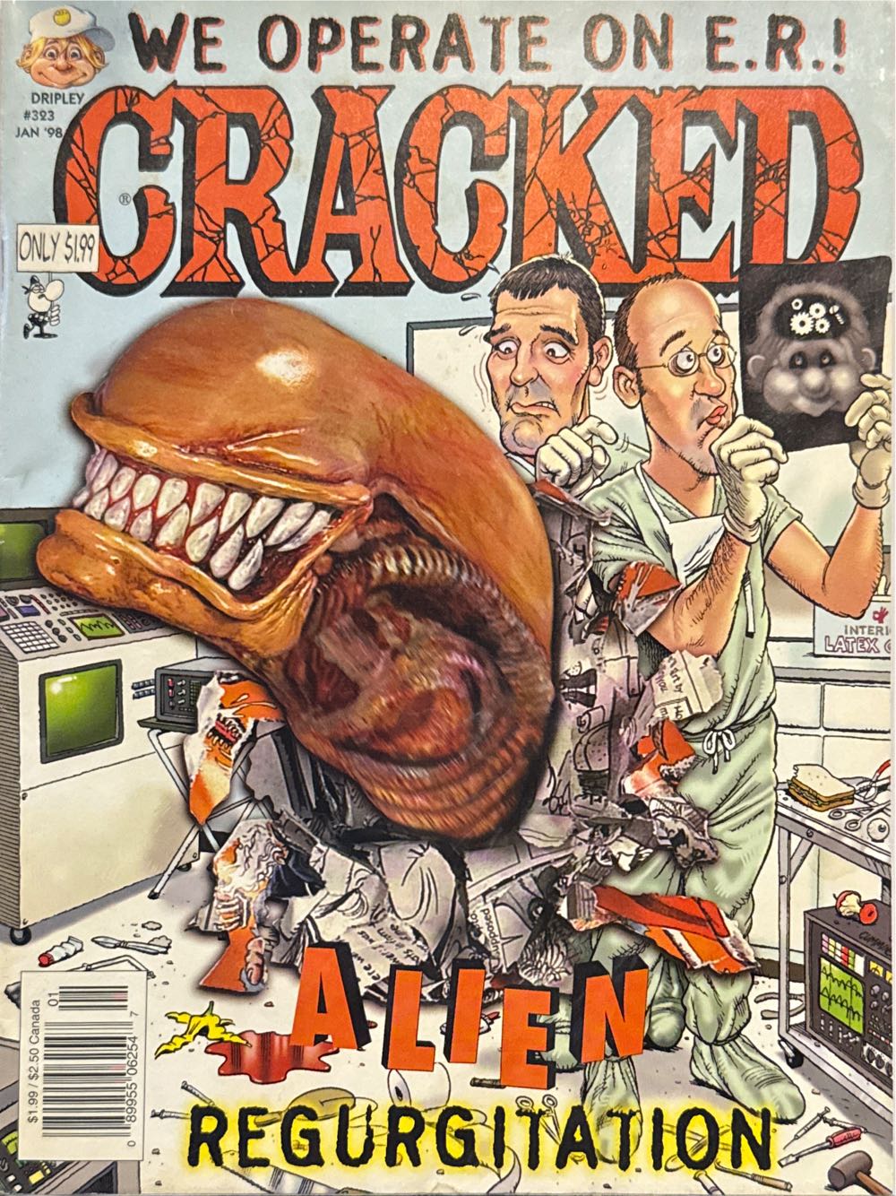 Training Secrets For Border Collies