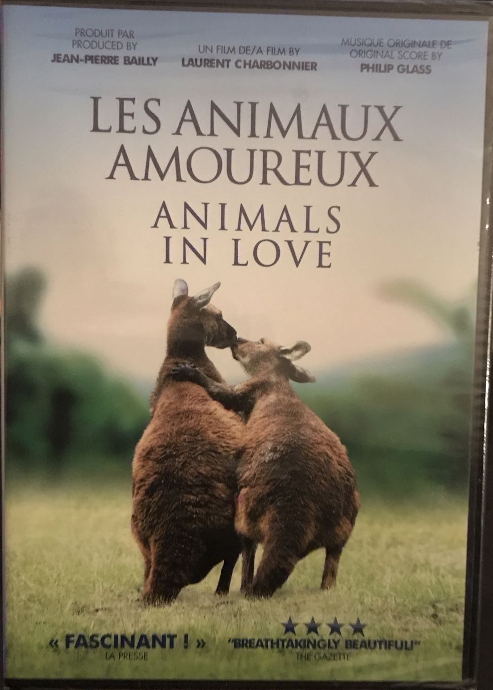 Animals In Love