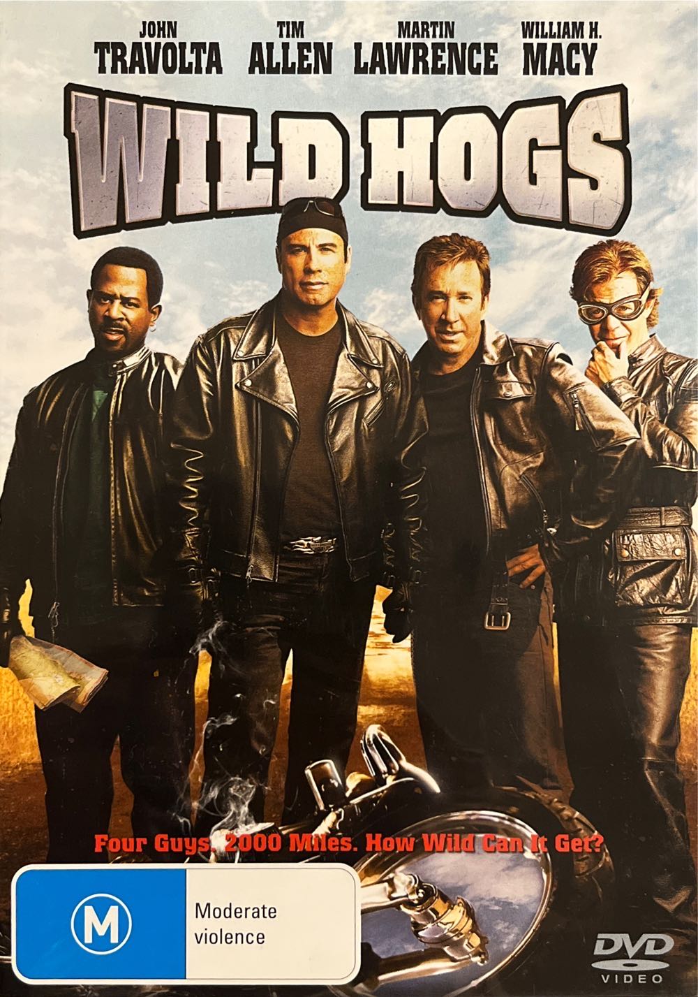 Wild Hogs