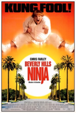 Beverly Hills Ninja 