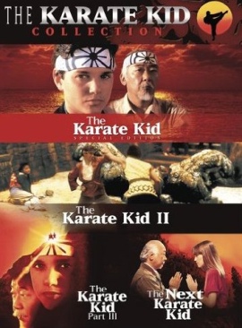 Karate Kid Collection, The