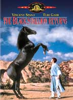 The Black Stallion Returns