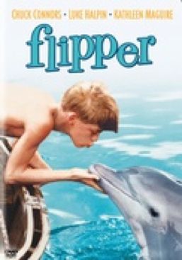 Flipper