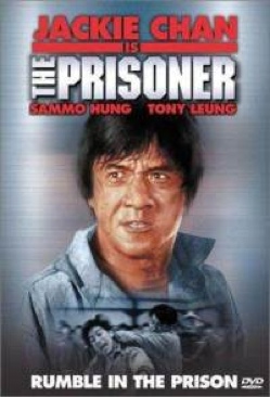 Prisoner, The (1990)