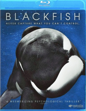 Blackfish
