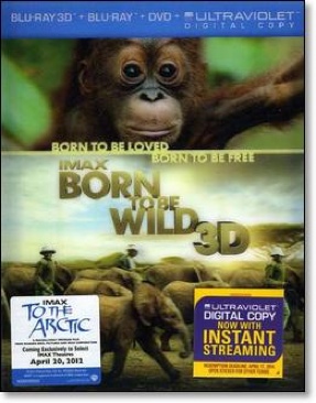 Born To Be Wild