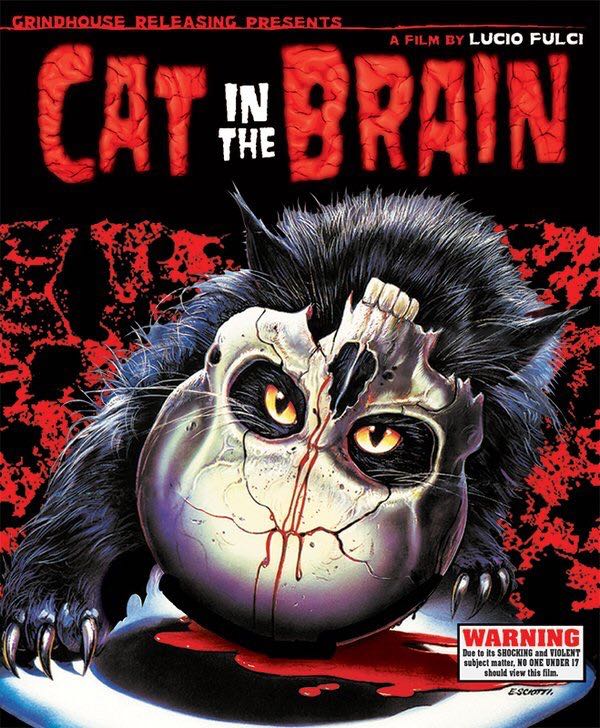Cat in the Brain
