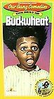 Our Gang Comedies: The Best Of Buckwheat