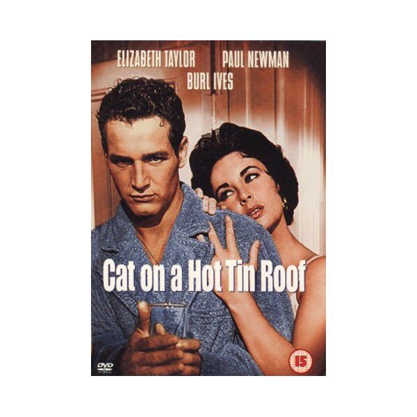 Cat On A Hot Tin Roof