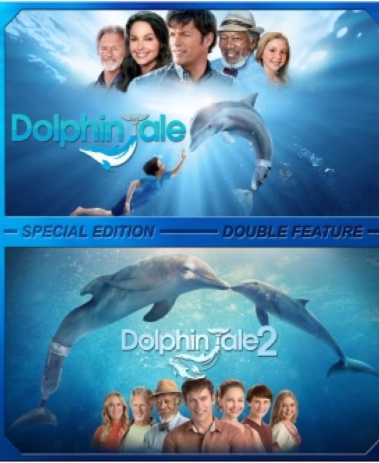 Dolphin Tale 2