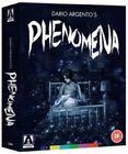 Phenomena - Limited Edition