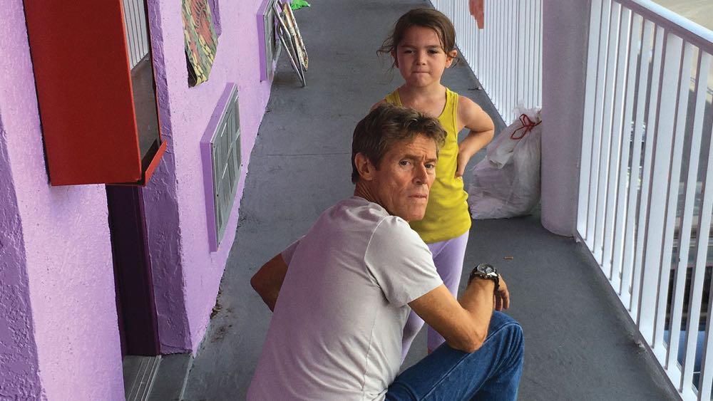 The Florida Project DVD movie collectible [Barcode 031398275824] - Main Image 4