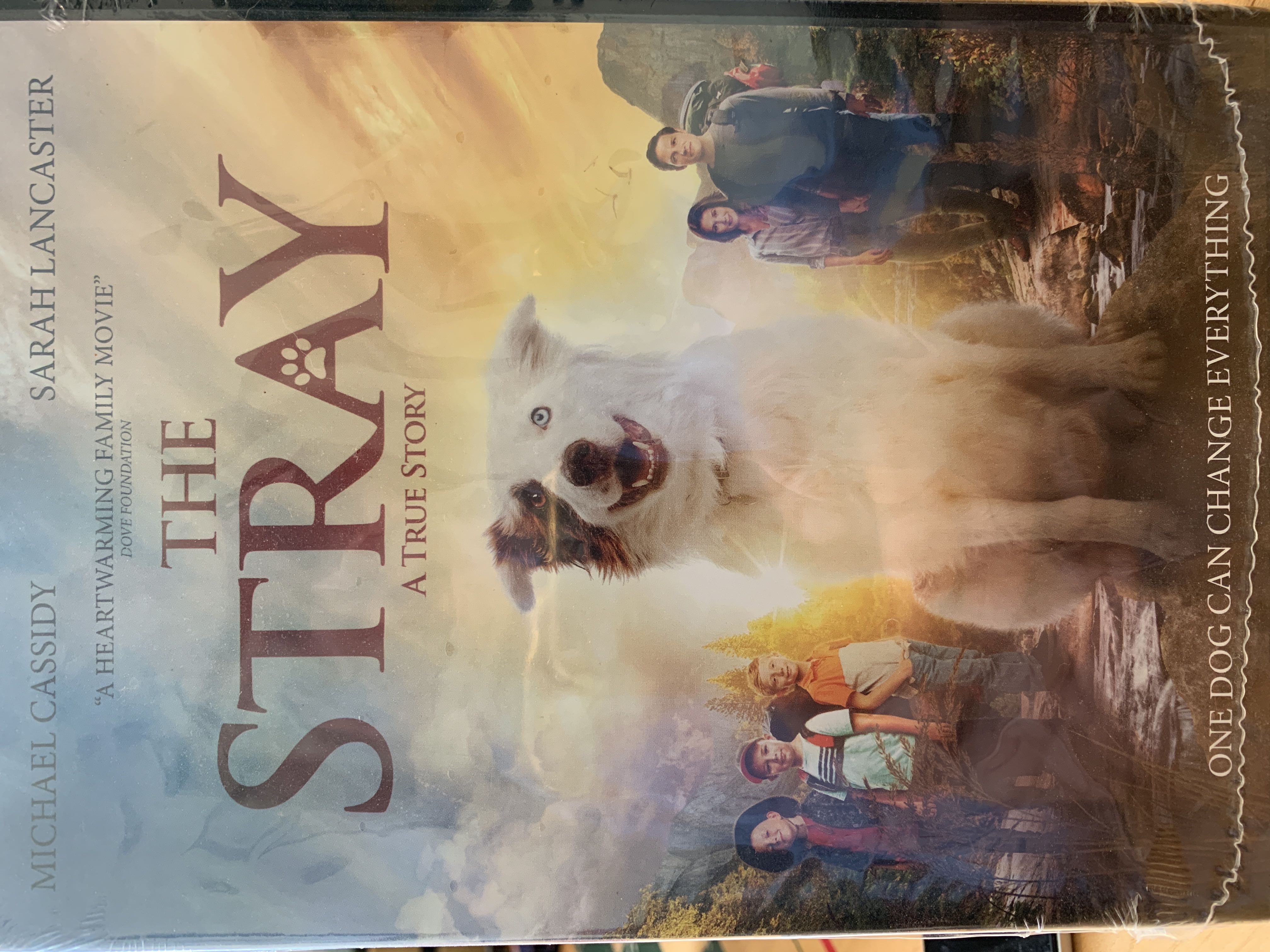 The Stray