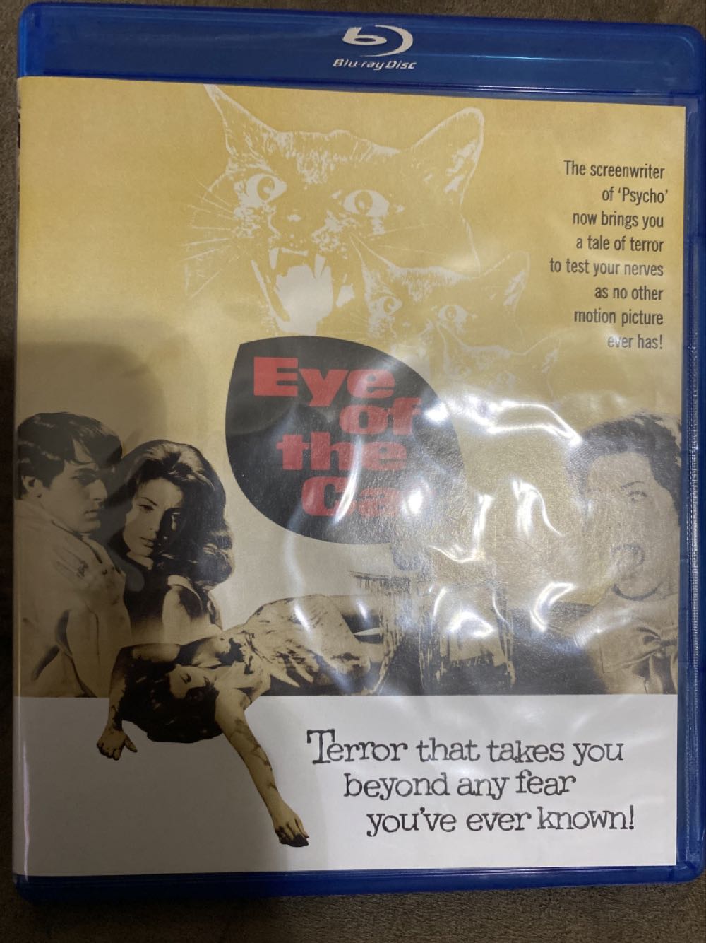 Eye of the Cat